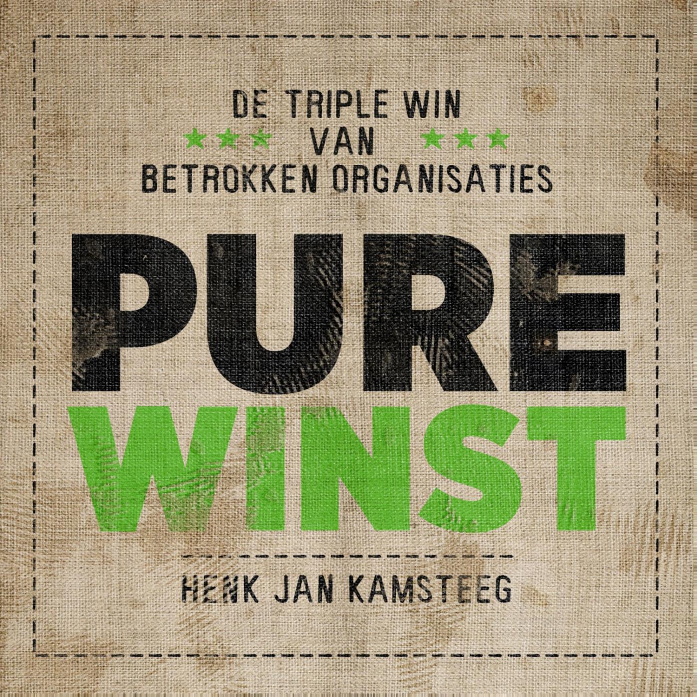 Omslag van Pure winst