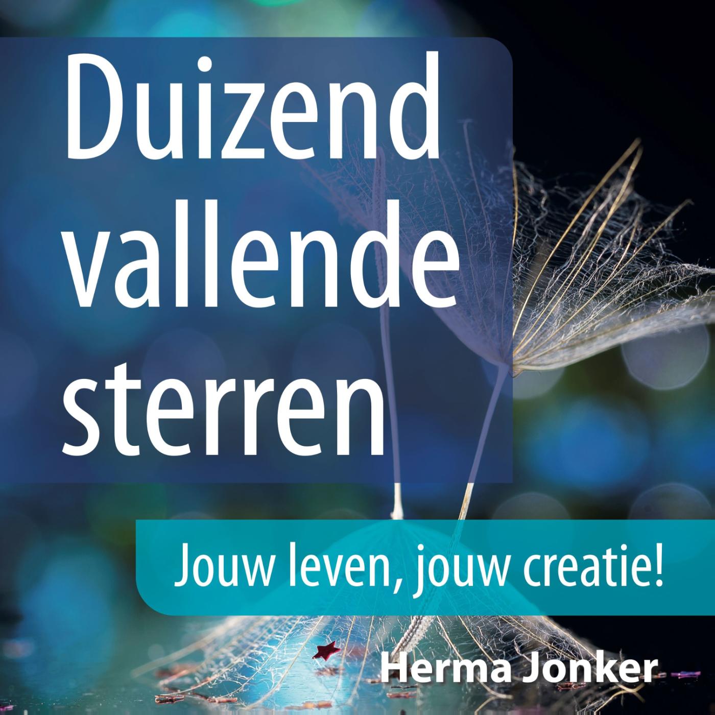 Omslag van Duizend vallende sterren