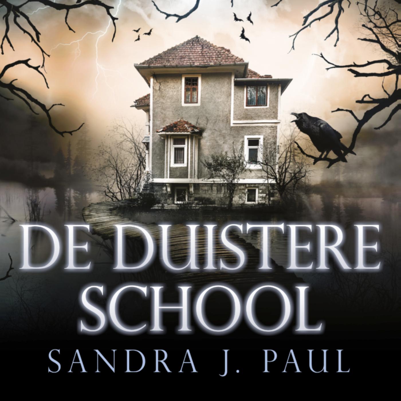 Omslag van De duistere school