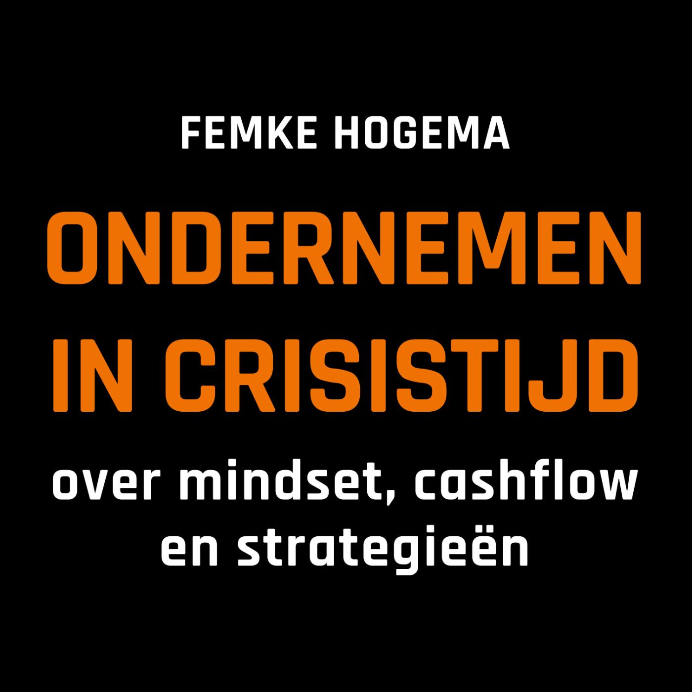 Omslag van Ondernemen in crisistijd