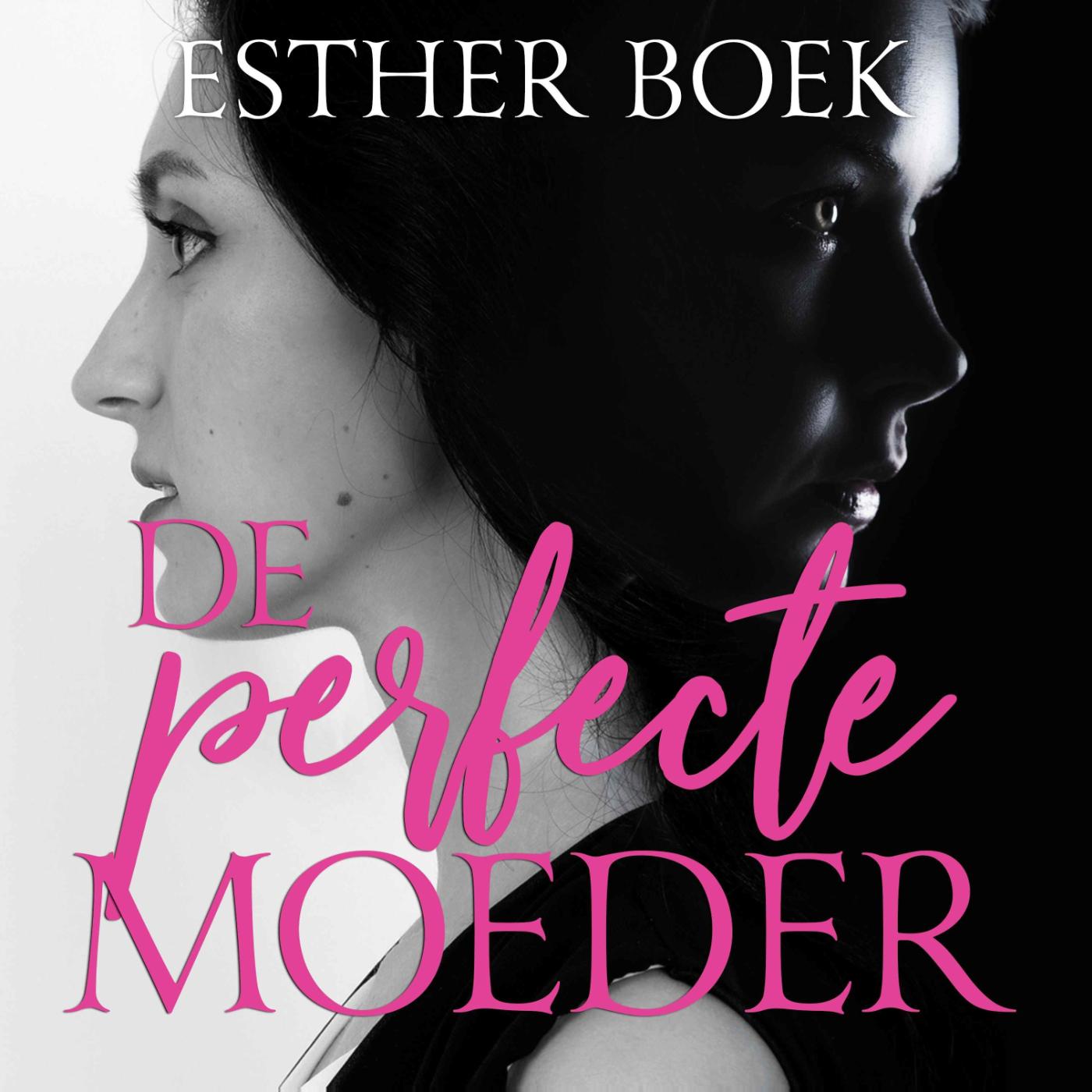 Omslag van De perfecte moeder