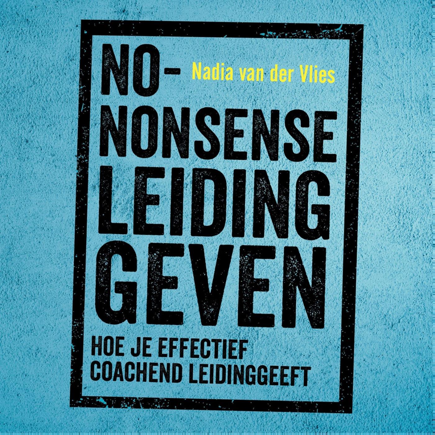 Omslag van No-nonsense leidinggeven