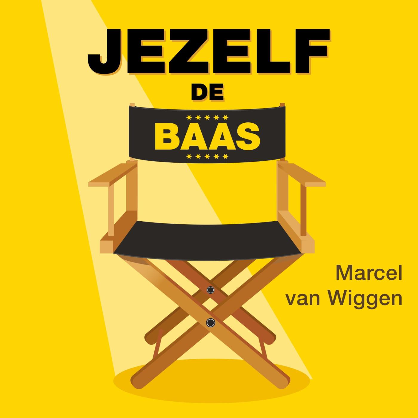 Omslag van Jezelf de baas