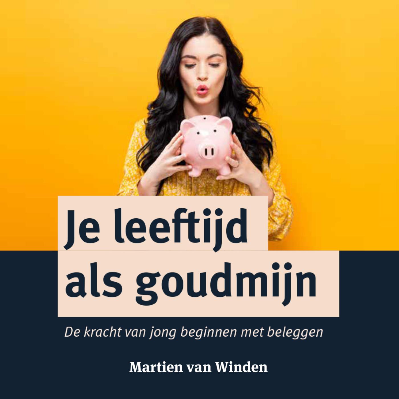 Omslag van Je leeftijd als goudmijn