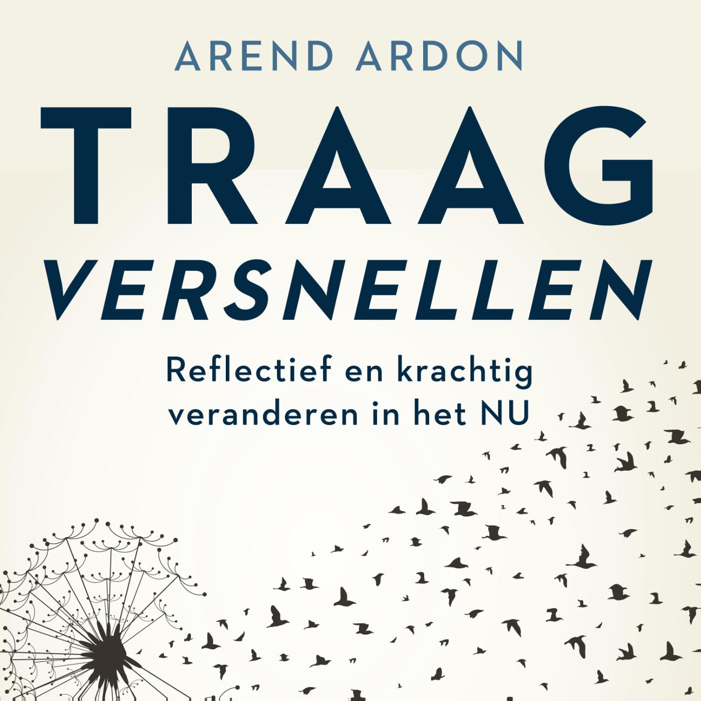 Omslag van Traag versnellen