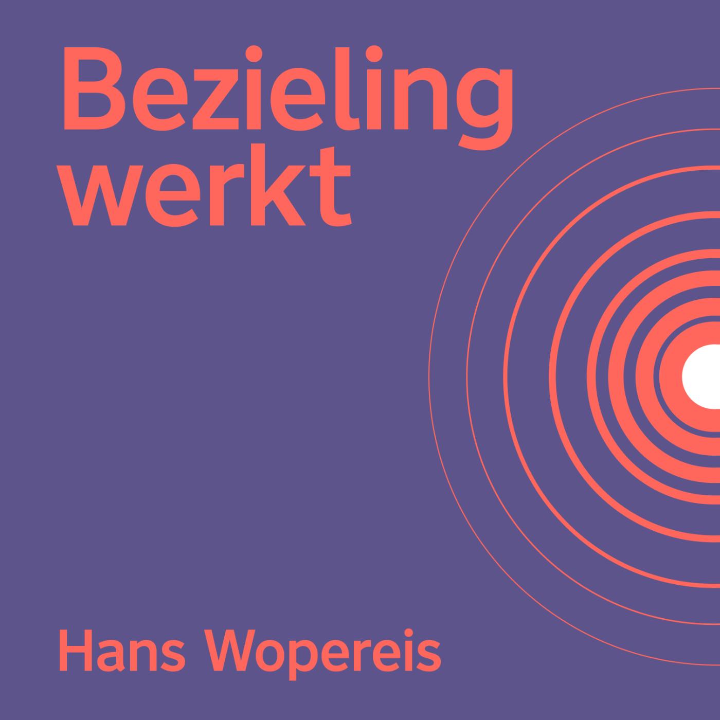 Omslag van Bezieling werkt
