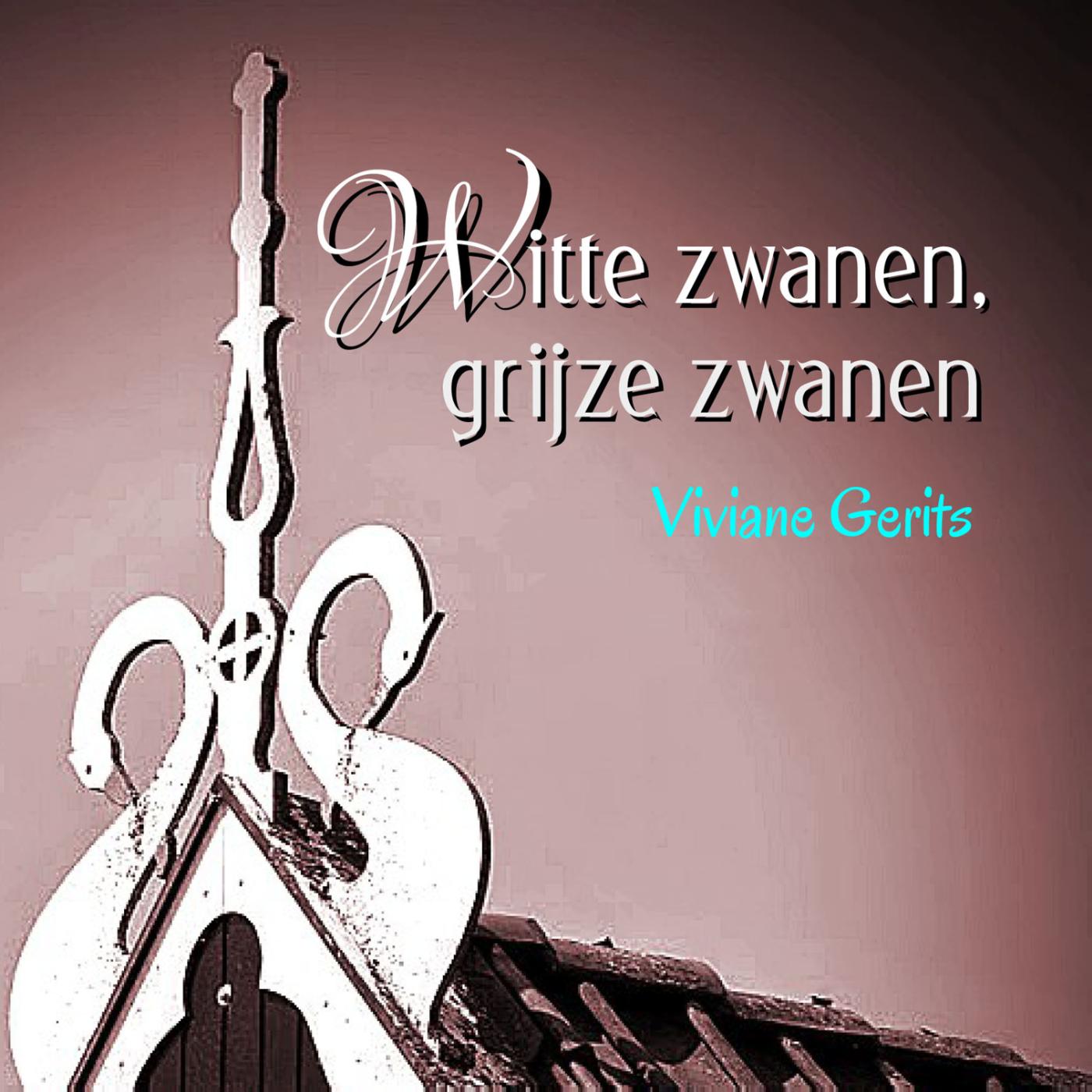 Omslag van Witte zwanen, grijze zwanen