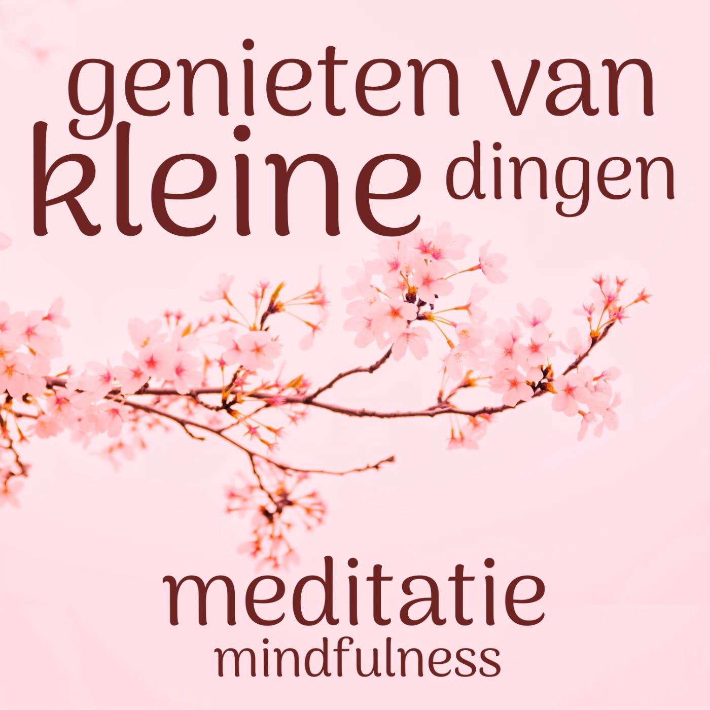 Omslag van Genieten van de kleine dingen