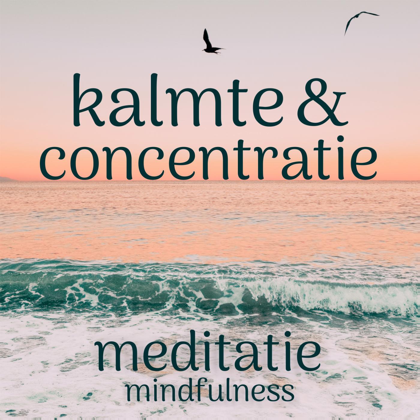 Omslag van Kalmte & concentratie