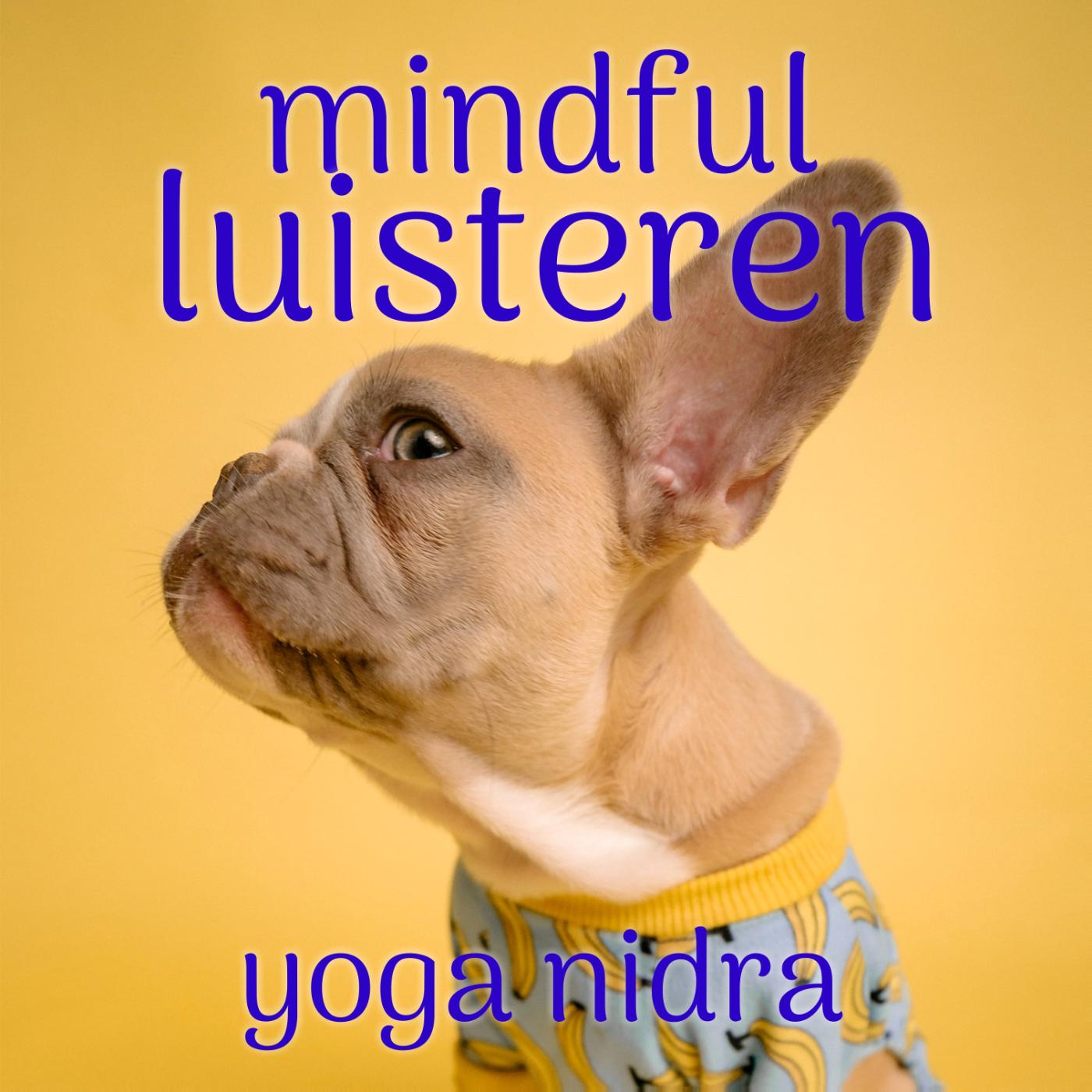 Omslag van Mindful Luisteren