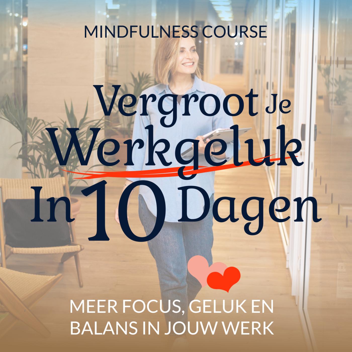 Omslag van Vergroot je werkgeluk in 10 dagen