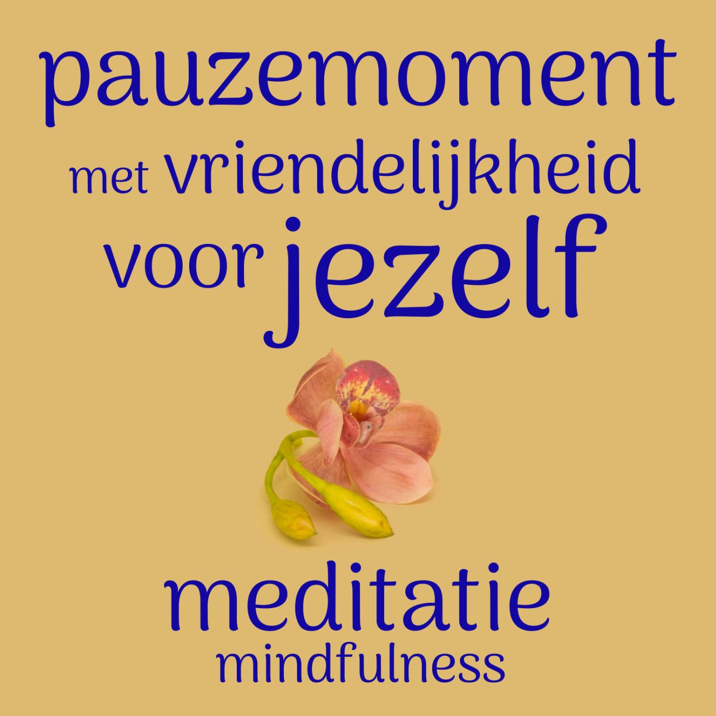 Omslag van Pauzemoment met vriendelijkheid voor jezelf