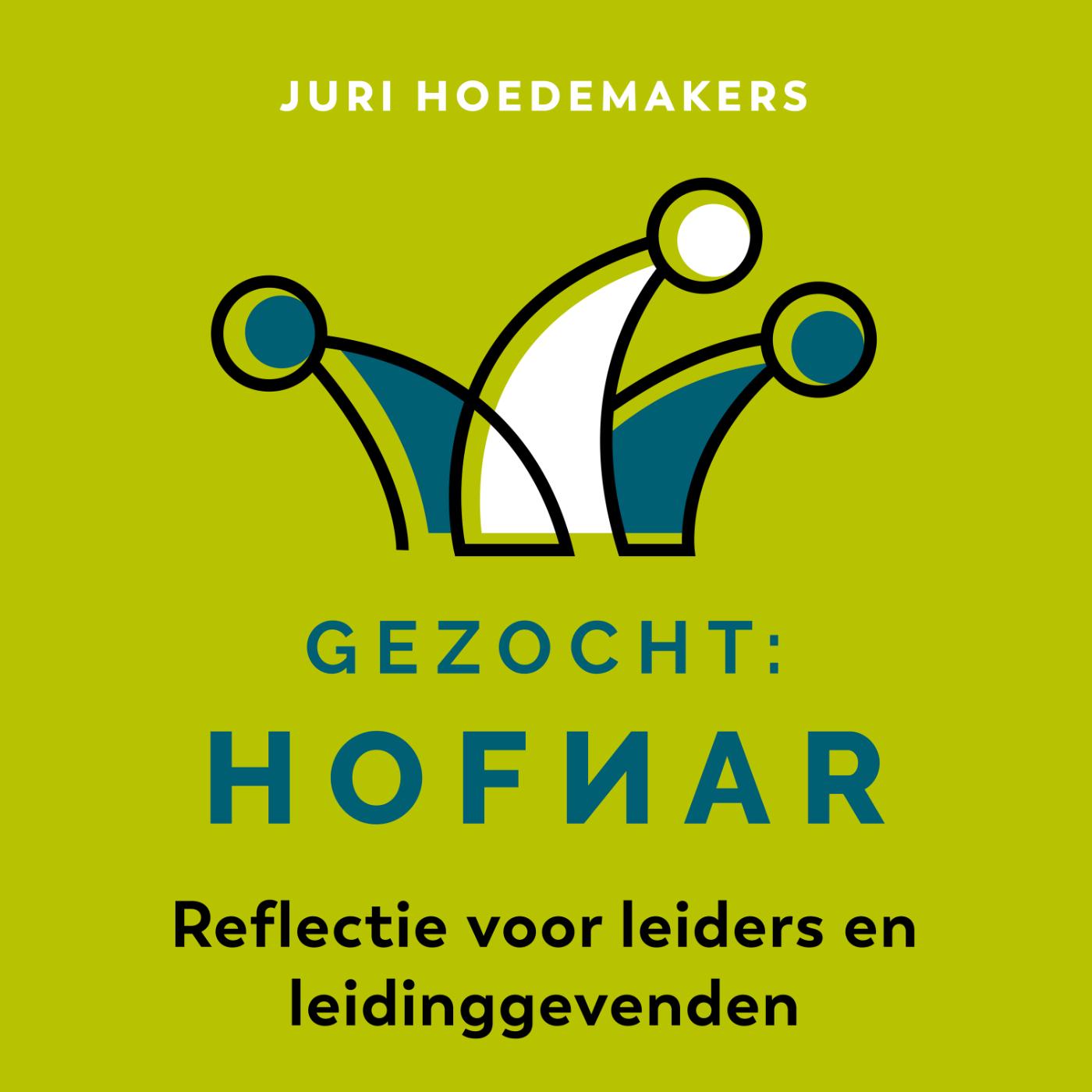 Omslag van Gezocht: Hofnar