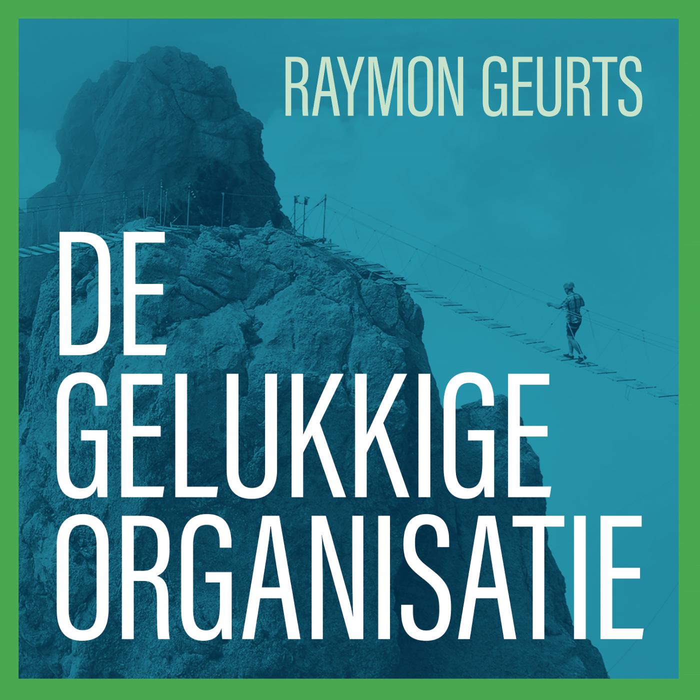 Omslag van De gelukkige organisatie
