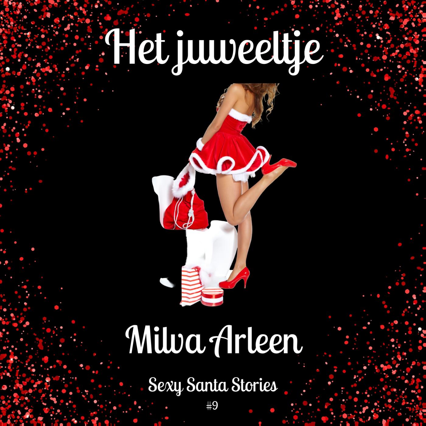 Omslag van Kerst: Het juweeltje