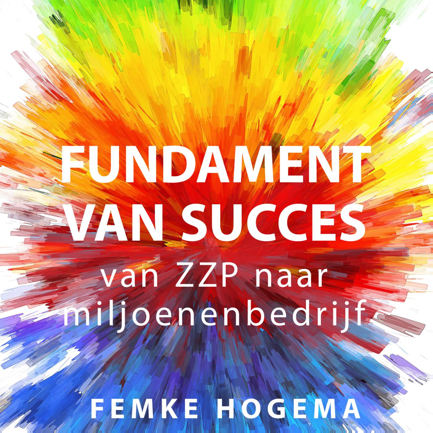 Omslag van Fundament van succes