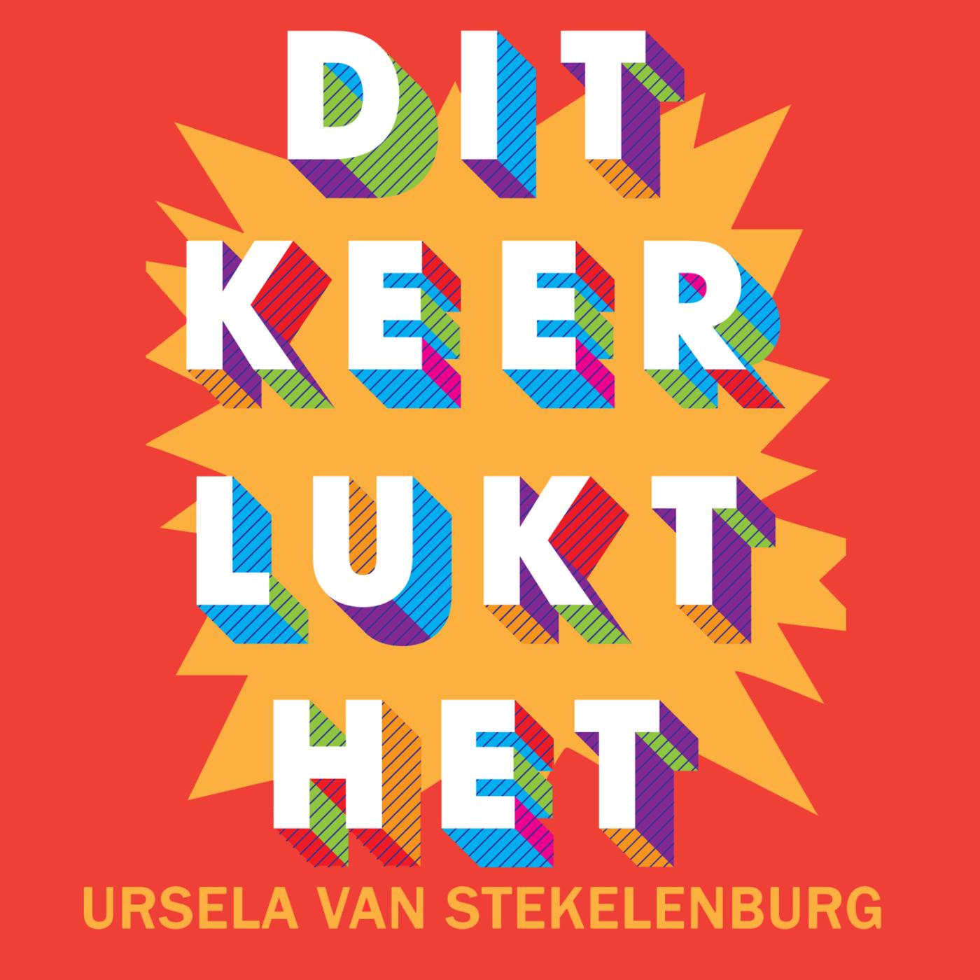 Omslag van Dit keer lukt het!