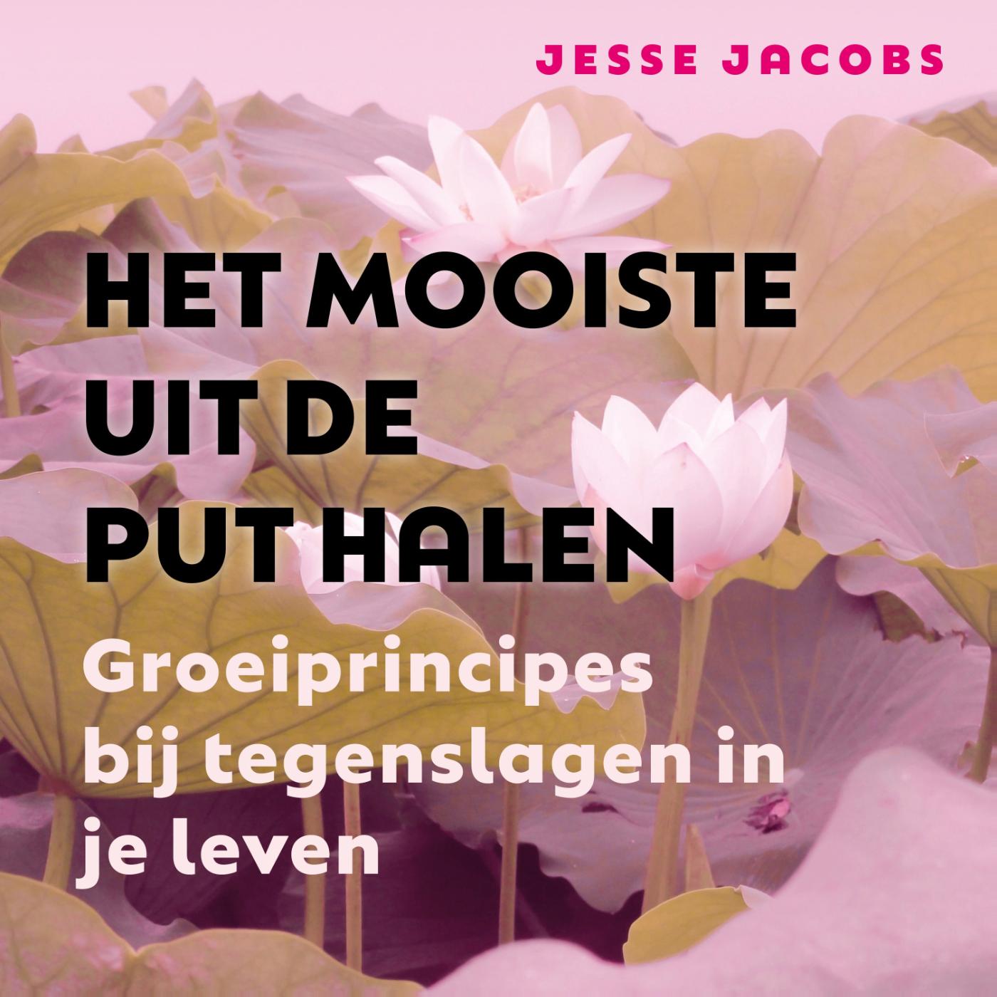 Omslag van Het mooiste uit de put halen