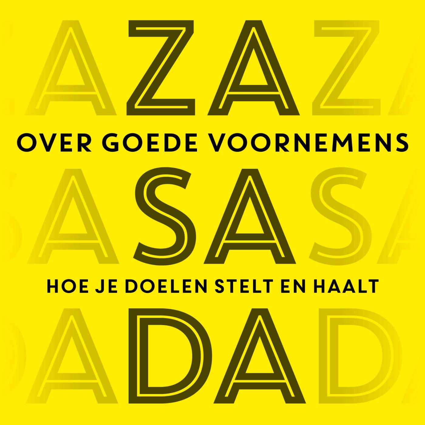 Omslag van Over goede voornemens