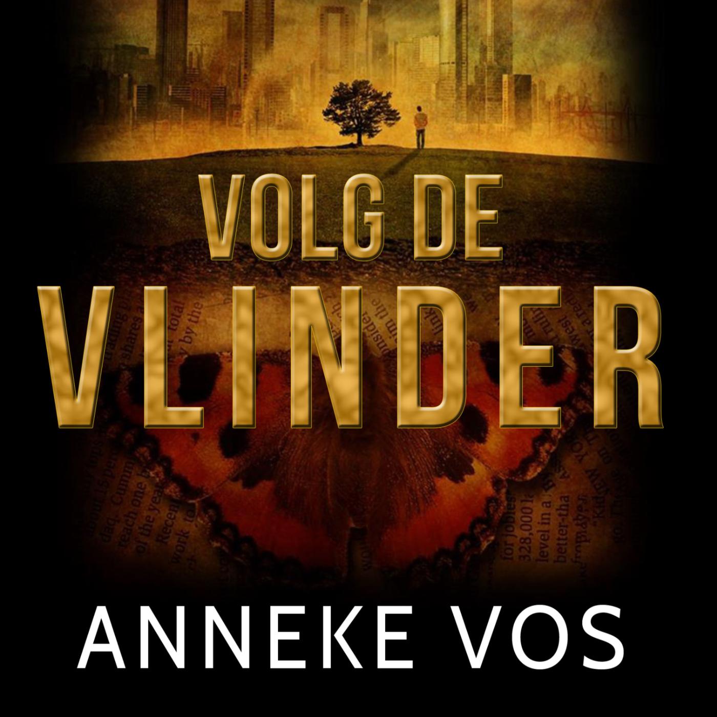 Omslag van Volg de vlinder