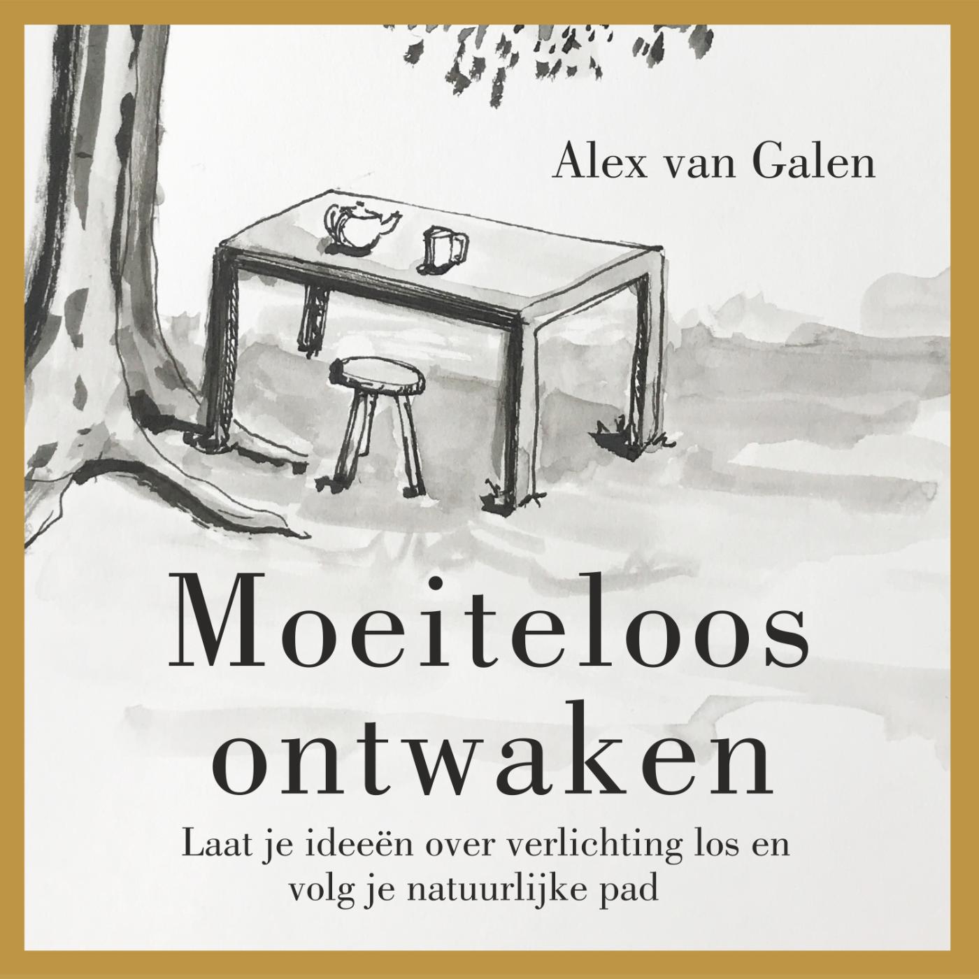 Omslag van Moeiteloos ontwaken