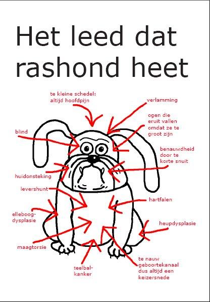 Omslag van Het leed dat rashond heet