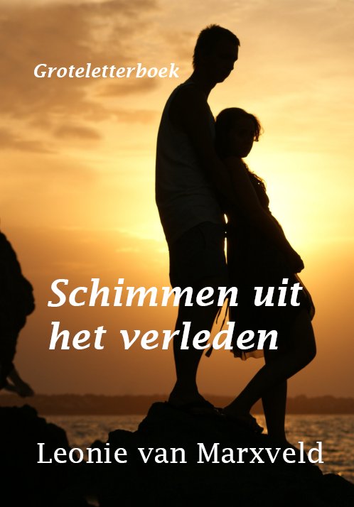 Omslag van Schimmen uit het verleden