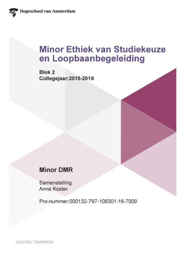 Omslag van Minor ethiek van studiekeuze en loopbaanregeling