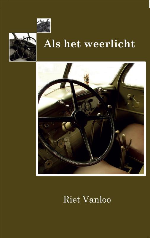 Omslag van Als het weerlicht
