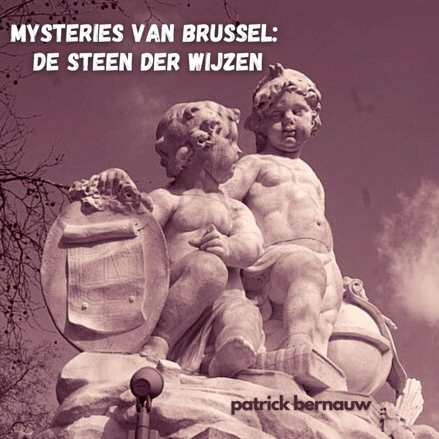 Omslag van Mysteries van Brussel: De Steen der Wijzen