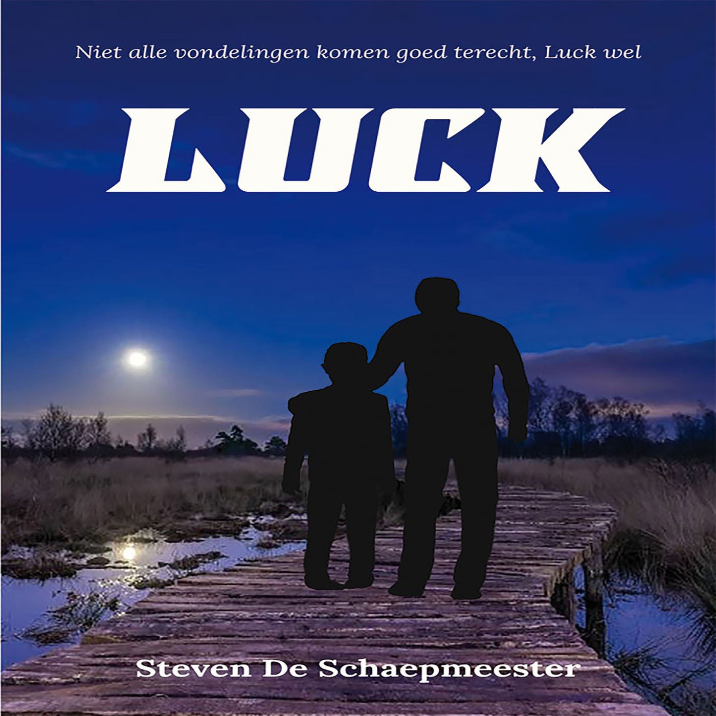 Omslag van Luck