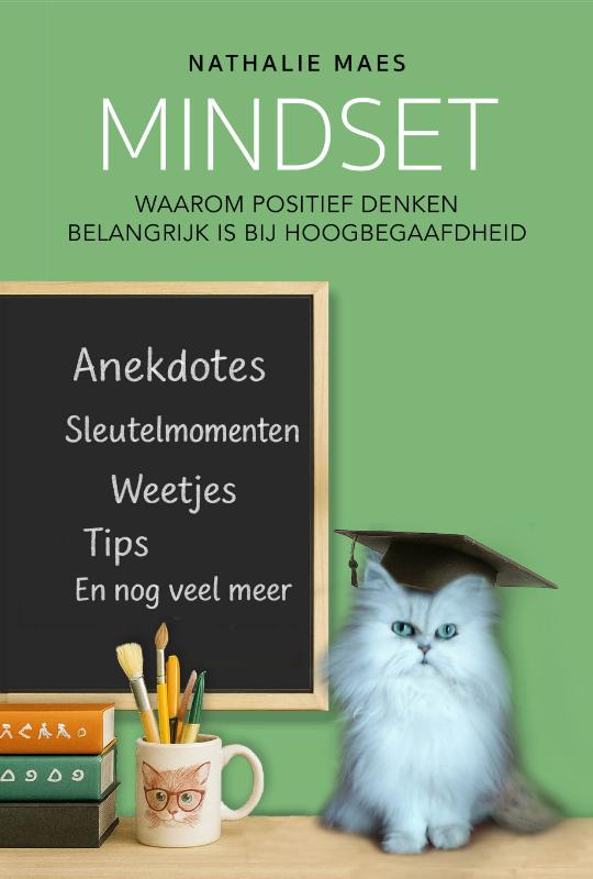 Omslag van Mindset