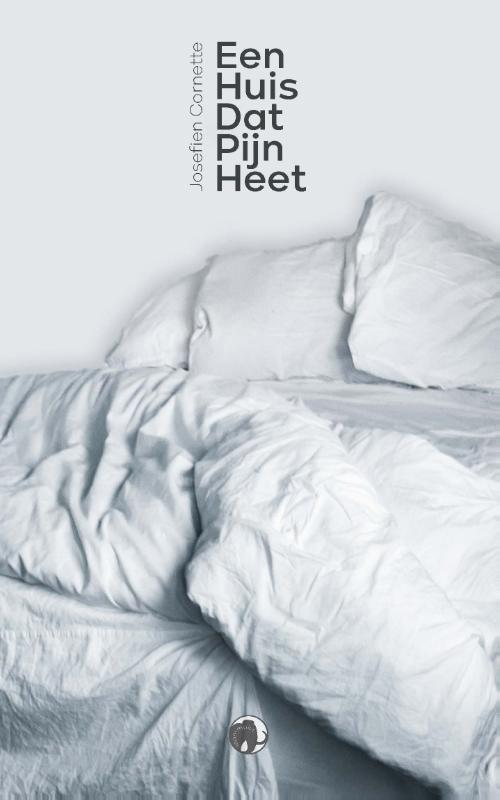 Omslag van Een huis dat pijn heet