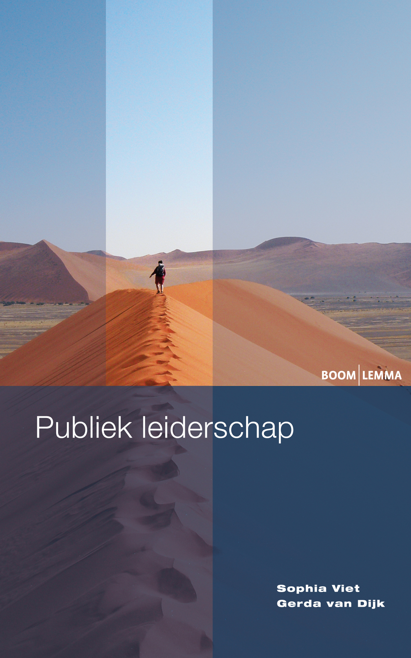 Omslag van Publiek leiderschap