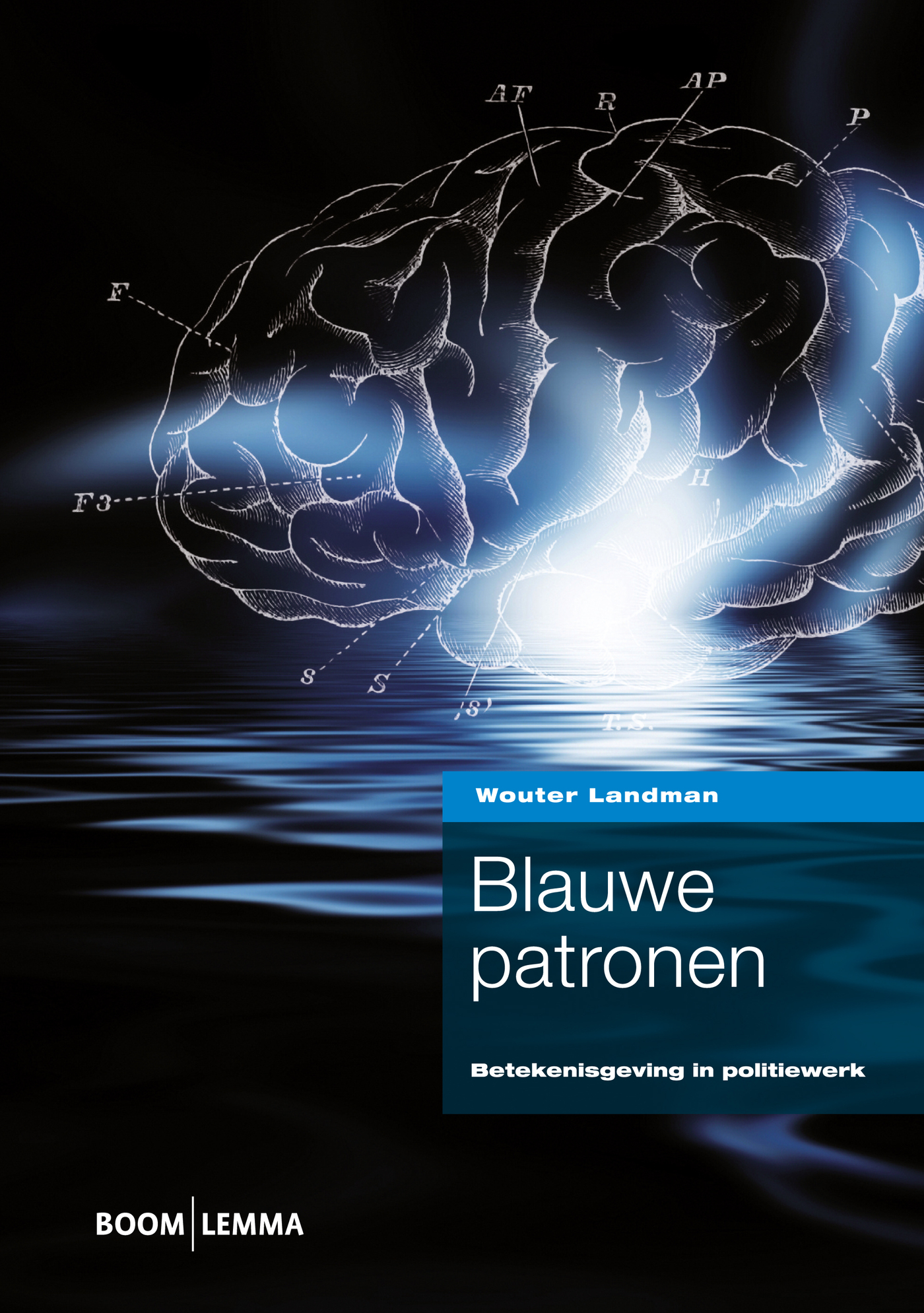 Omslag van Blauwe patronen