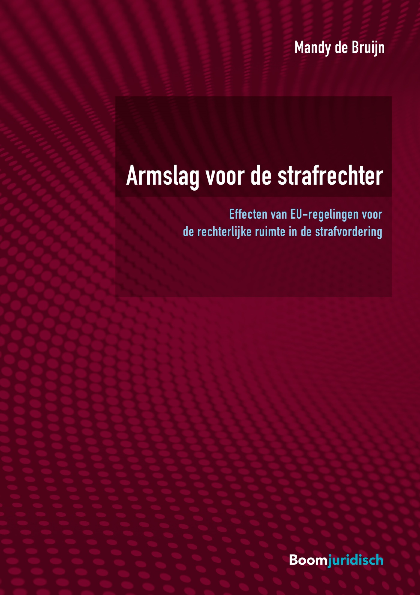 Omslag van Armslag voor de strafrechter