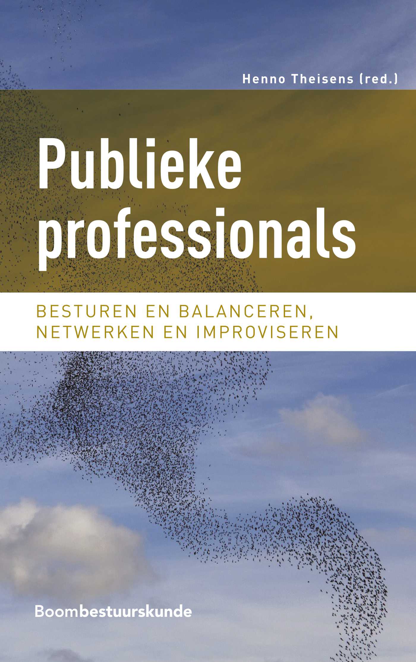 Omslag van Publieke professionals