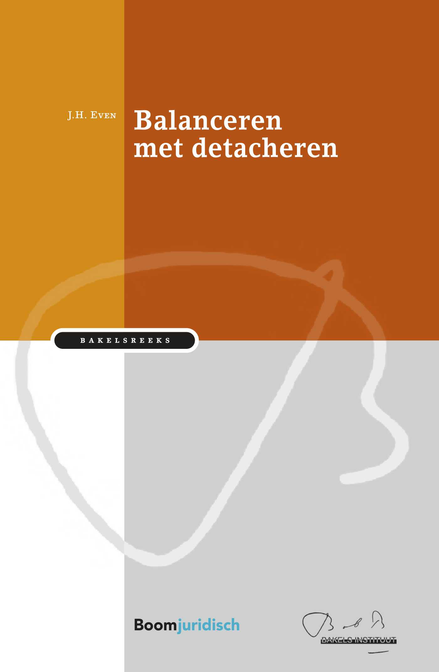 Omslag van Balanceren met detacheren