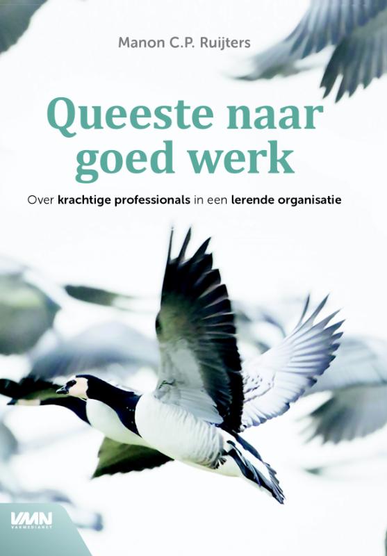 Omslag van Queeste naar goed werk
