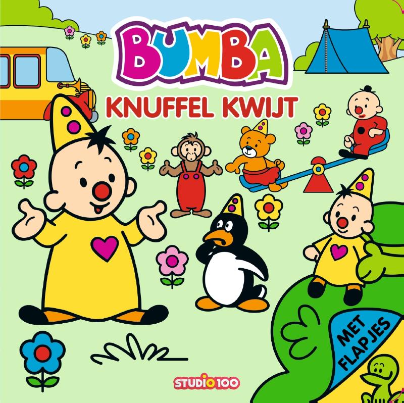 Omslag van Bumba : kartonboek - Knuffel kwijt