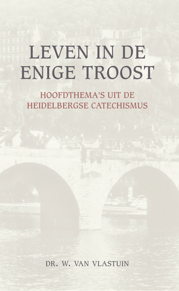 Omslag van Leven in de enige troost