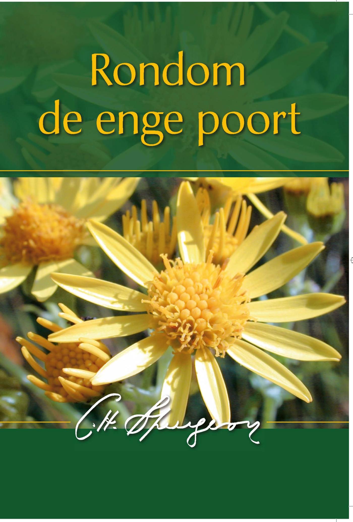 Omslag van Rondom de enge poort