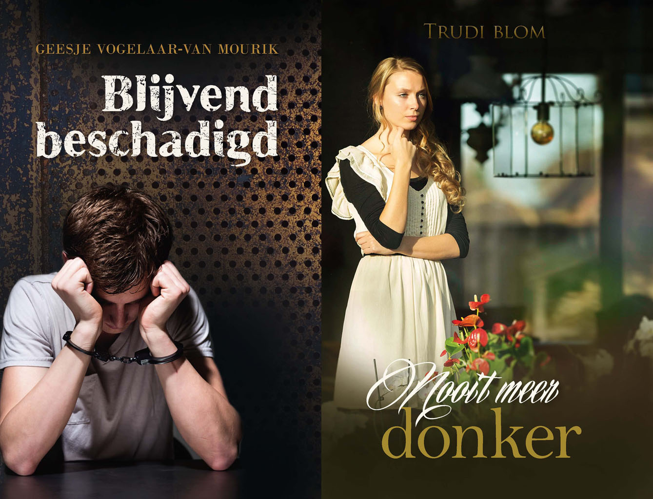 Omslag van Banier E-Book aanbieding november 2015