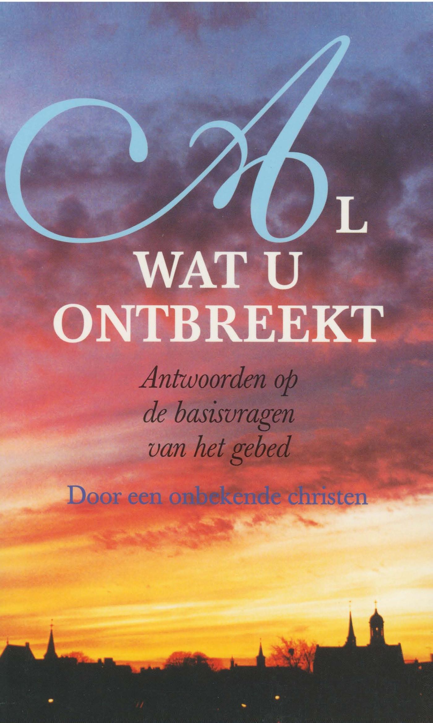 Omslag van Al wat u ontbreekt