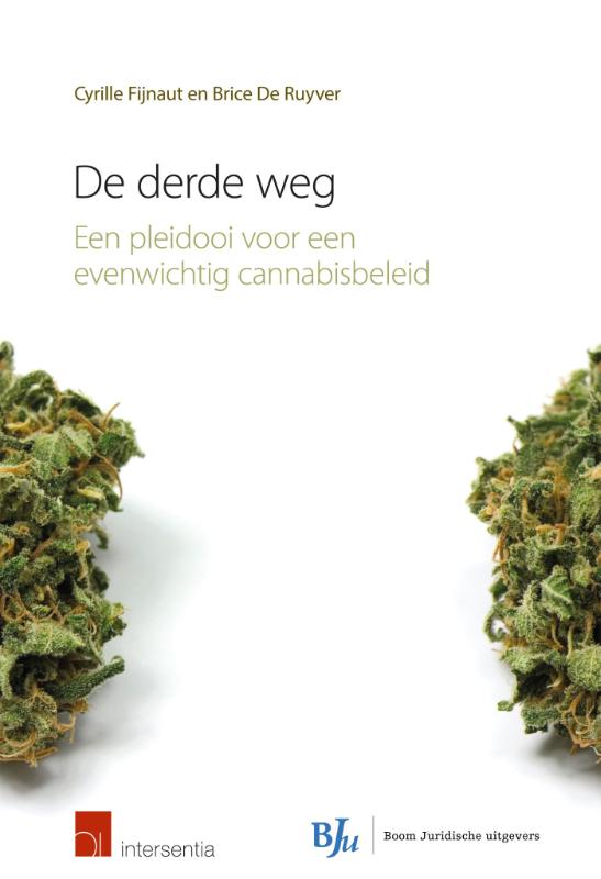 Omslag van De derde weg