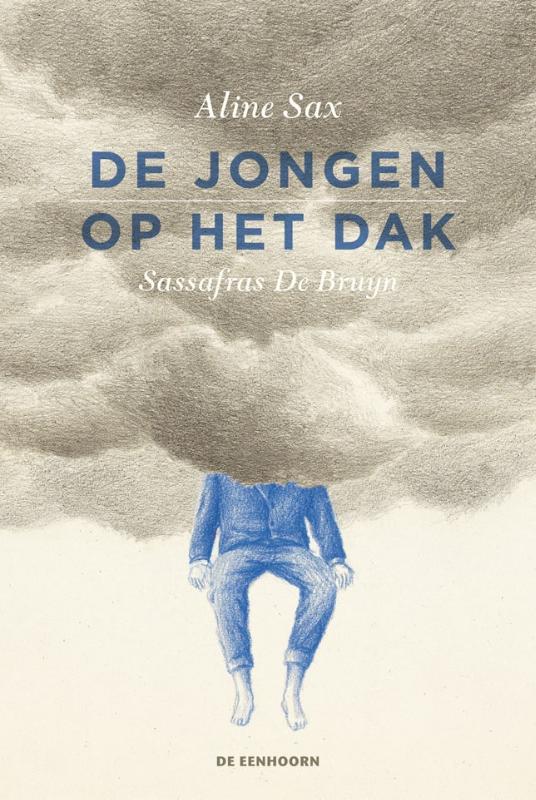 Omslag van De jongen op het dak