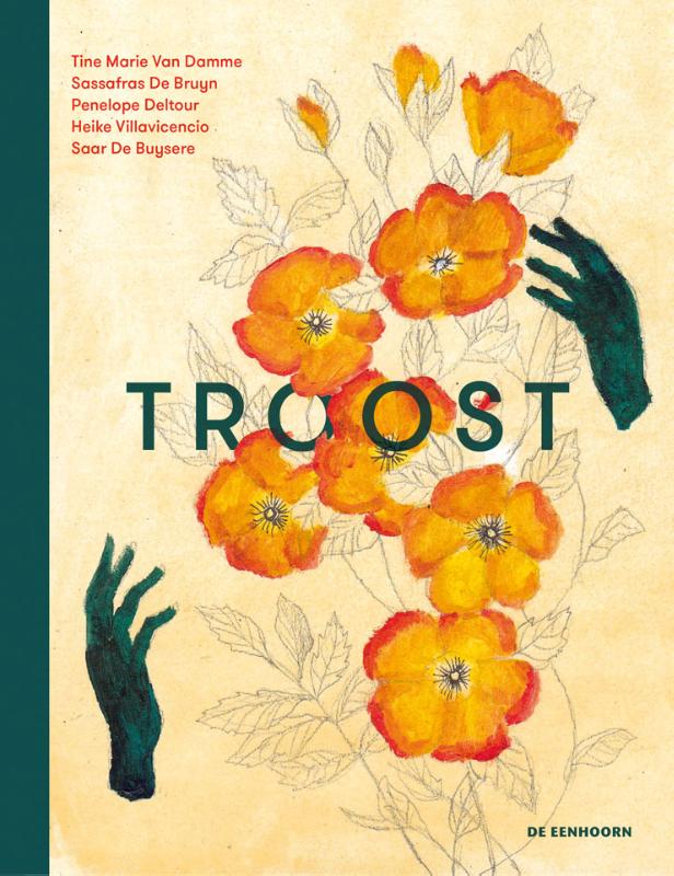 Omslag van Troost