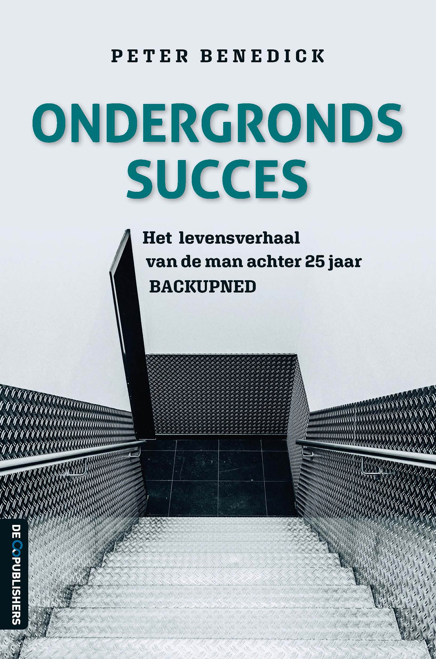 Omslag van Ondergronds succes