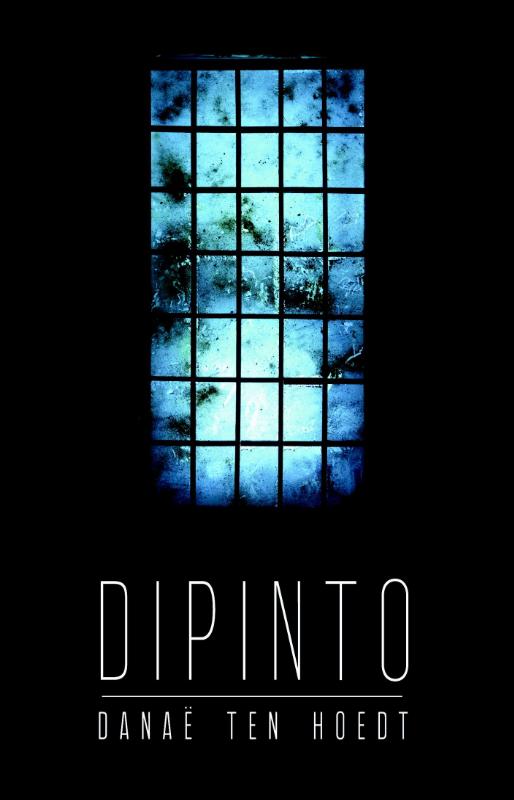 Omslag van Dipinto