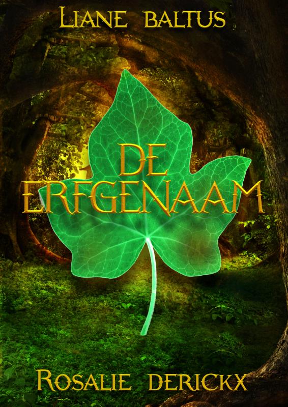 Omslag van De erfgenaam